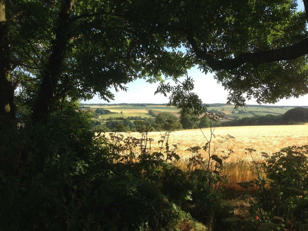 2 Bedroom Cottage Chipping Campden 奇平卡姆登 外观 照片